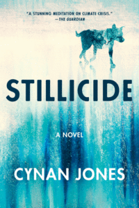 Stillicide_Cynan Jones
